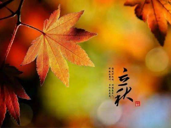 秋來了，莫慌！智慧主機(jī)依舊值得推薦的